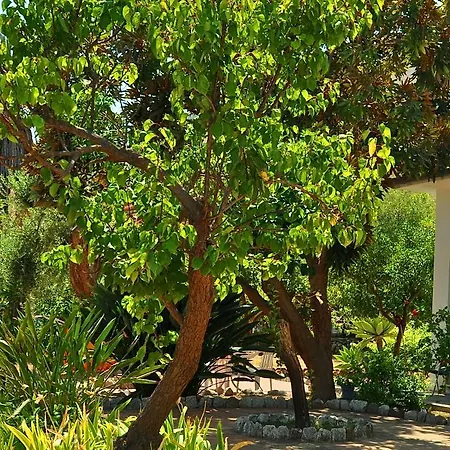 Seafront Garden House *