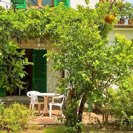 Seafront Garden House