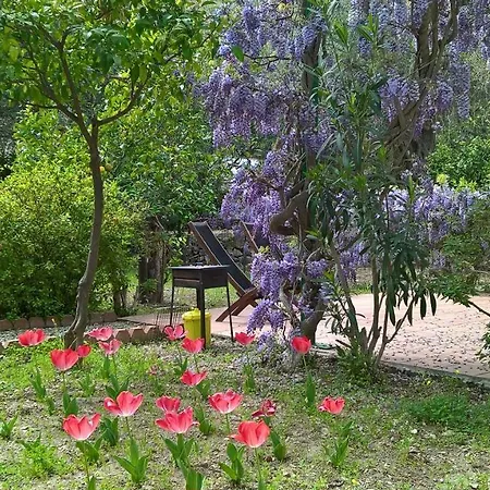 Apartmán Seafront Garden House