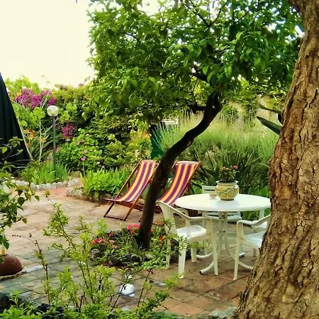 Seafront Garden House