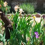 Seafront Garden House Apartamento