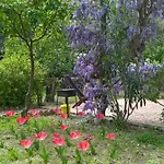 Apartamento Seafront Garden House