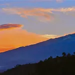 Seafront Garden House