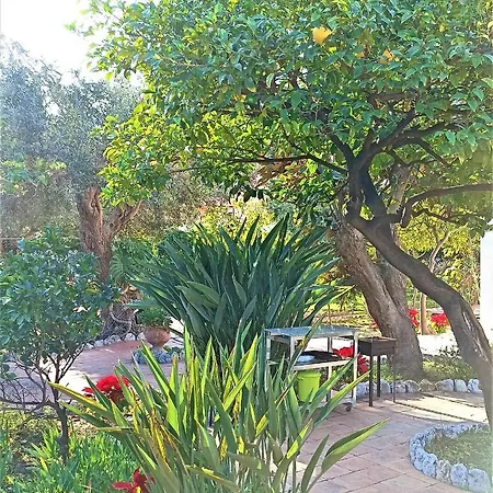 Daire Seafront Garden House
