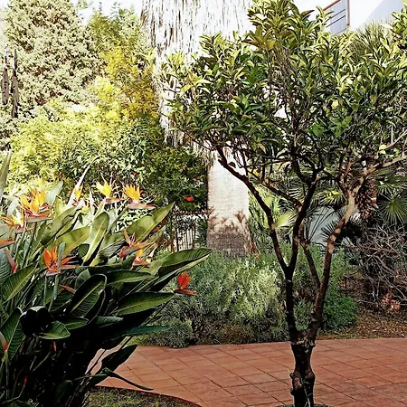 Seafront Garden House