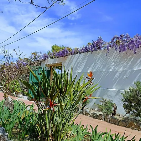 Seafront Garden House *