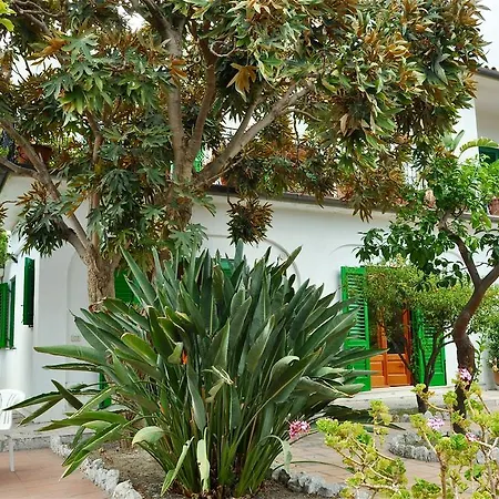 Seafront Garden House Daire