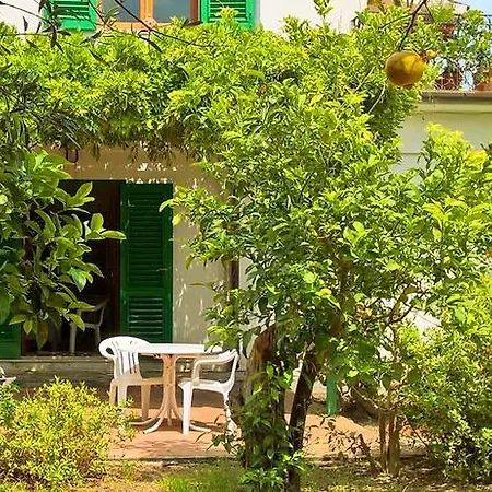 Seafront Garden House